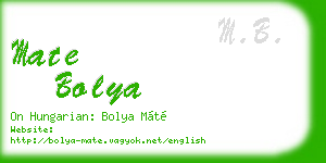 mate bolya business card