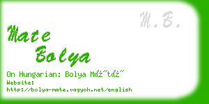 mate bolya business card